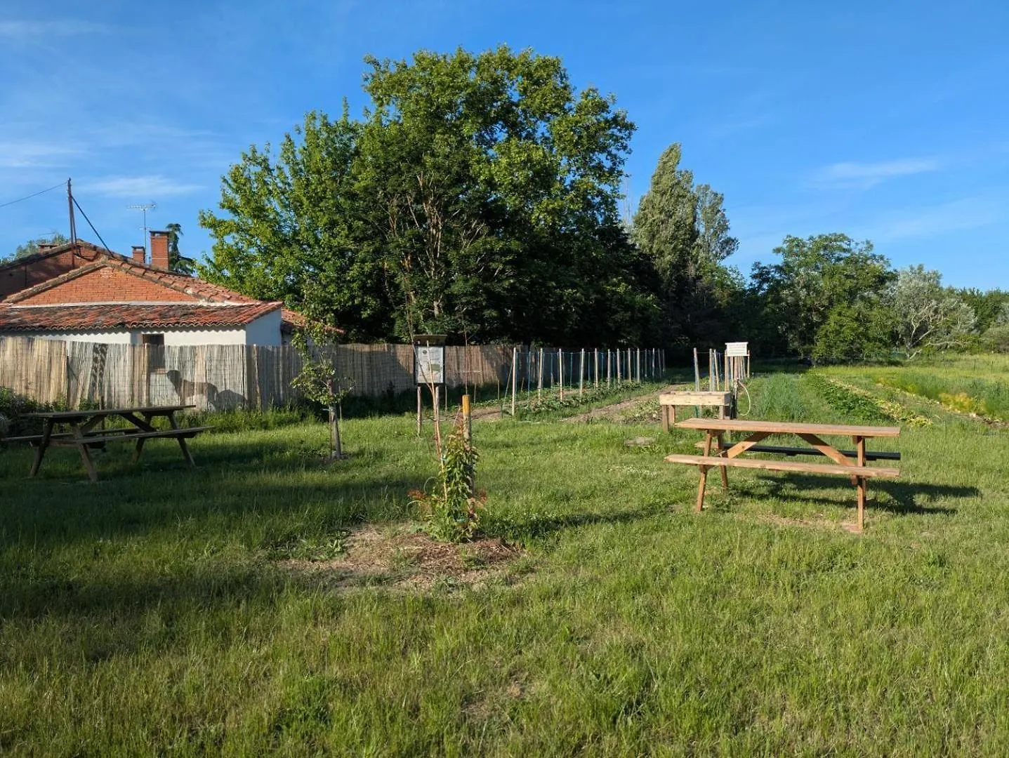 Hébergement de vacances Villa L'oasis de la ferme bordeneuve à Castanet-Tolosan