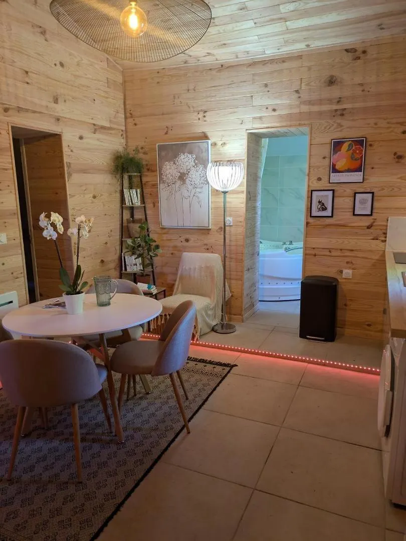 Villa L'oasis de la ferme bordeneuve à Castanet-Tolosan