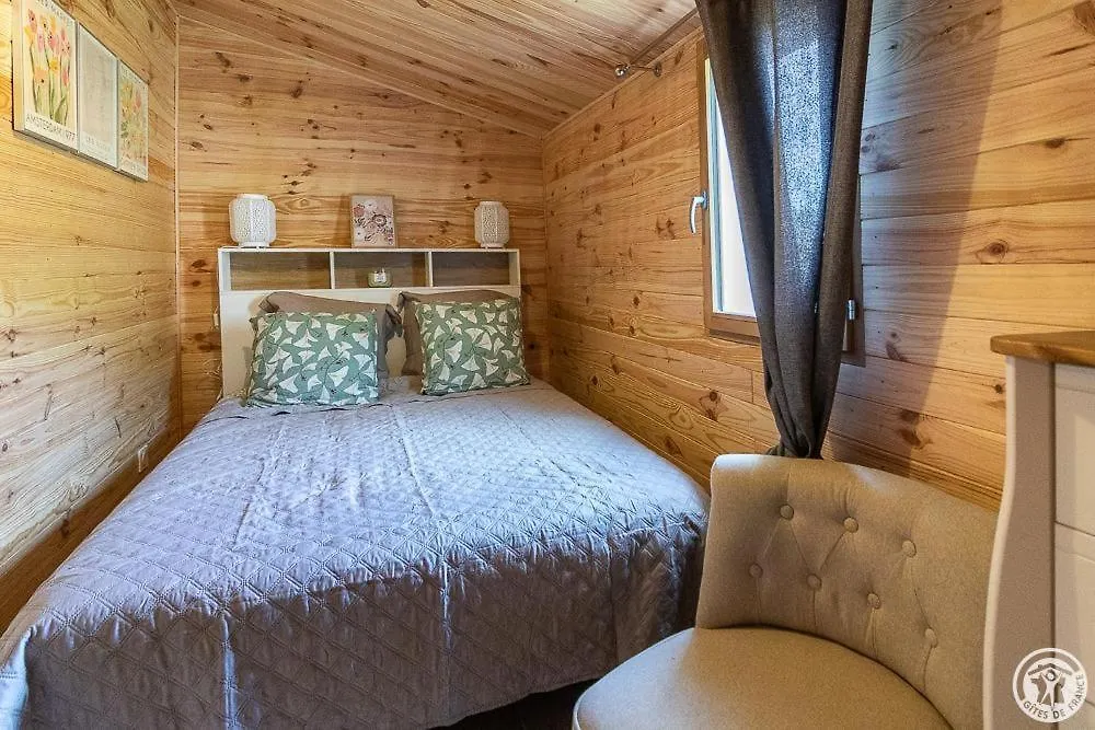 Hébergement de vacances Villa L'oasis de la ferme bordeneuve à Castanet-Tolosan