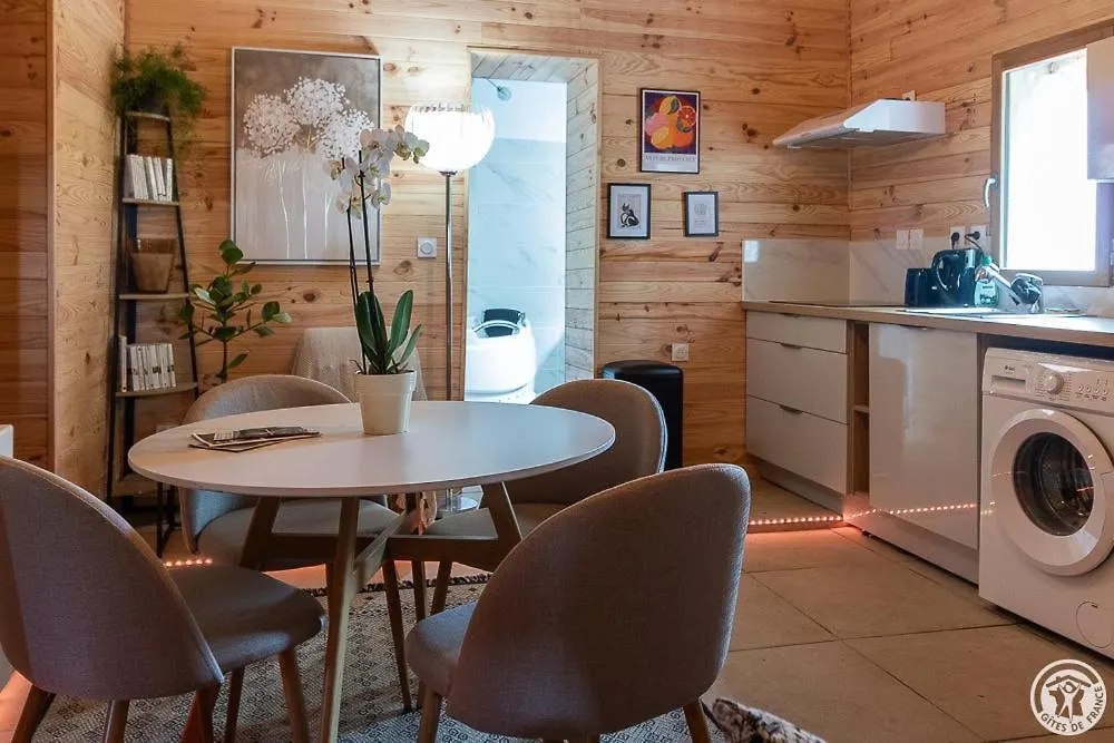 Villa L'oasis de la ferme bordeneuve à Castanet-Tolosan France